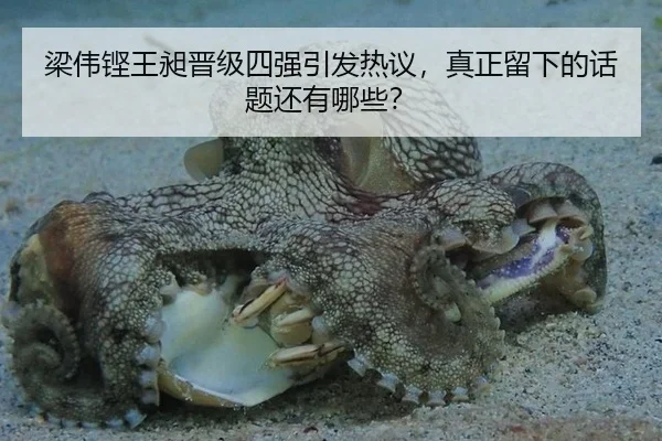 梁伟铿王昶晋级四强引发热议，真正留下的话题还有哪些？
